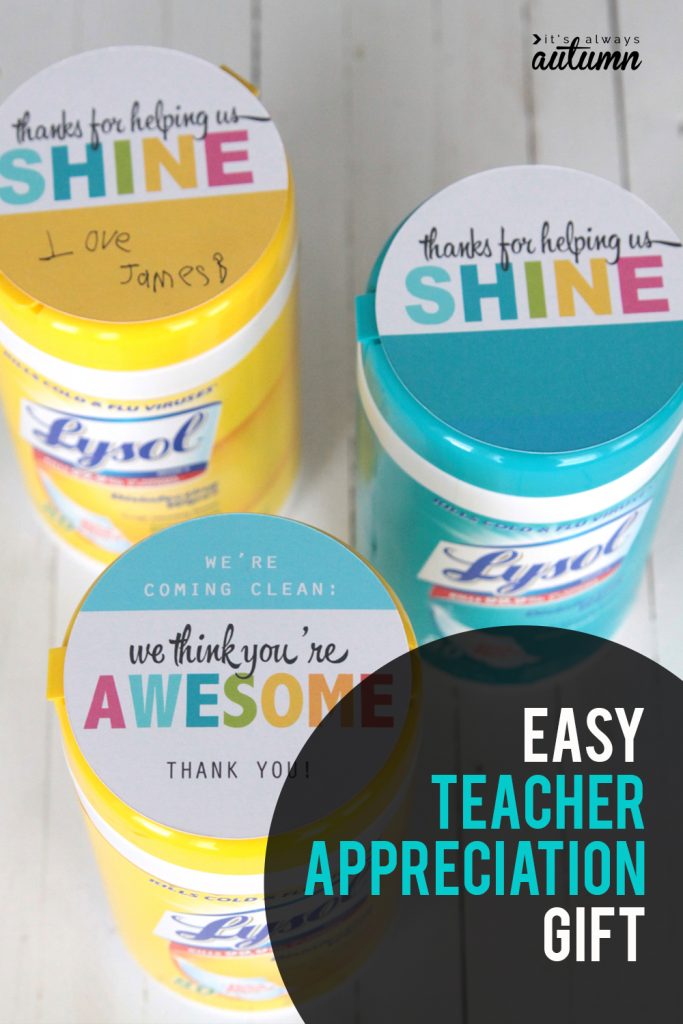 cheap, easy & practical teacher appreciation gift sanitizing wipes