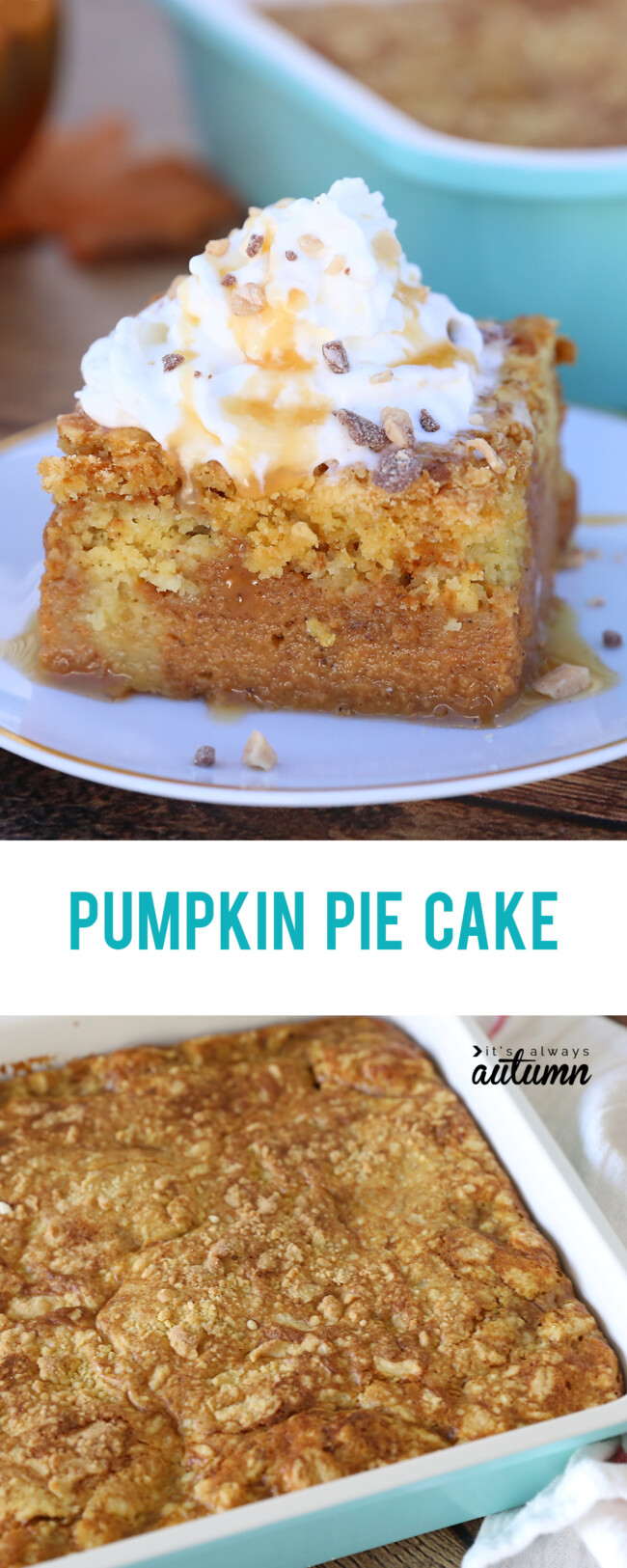 Easy Pumpkin Pie Cake {Better than Pumpkin Pie!} - It's Always Autumn