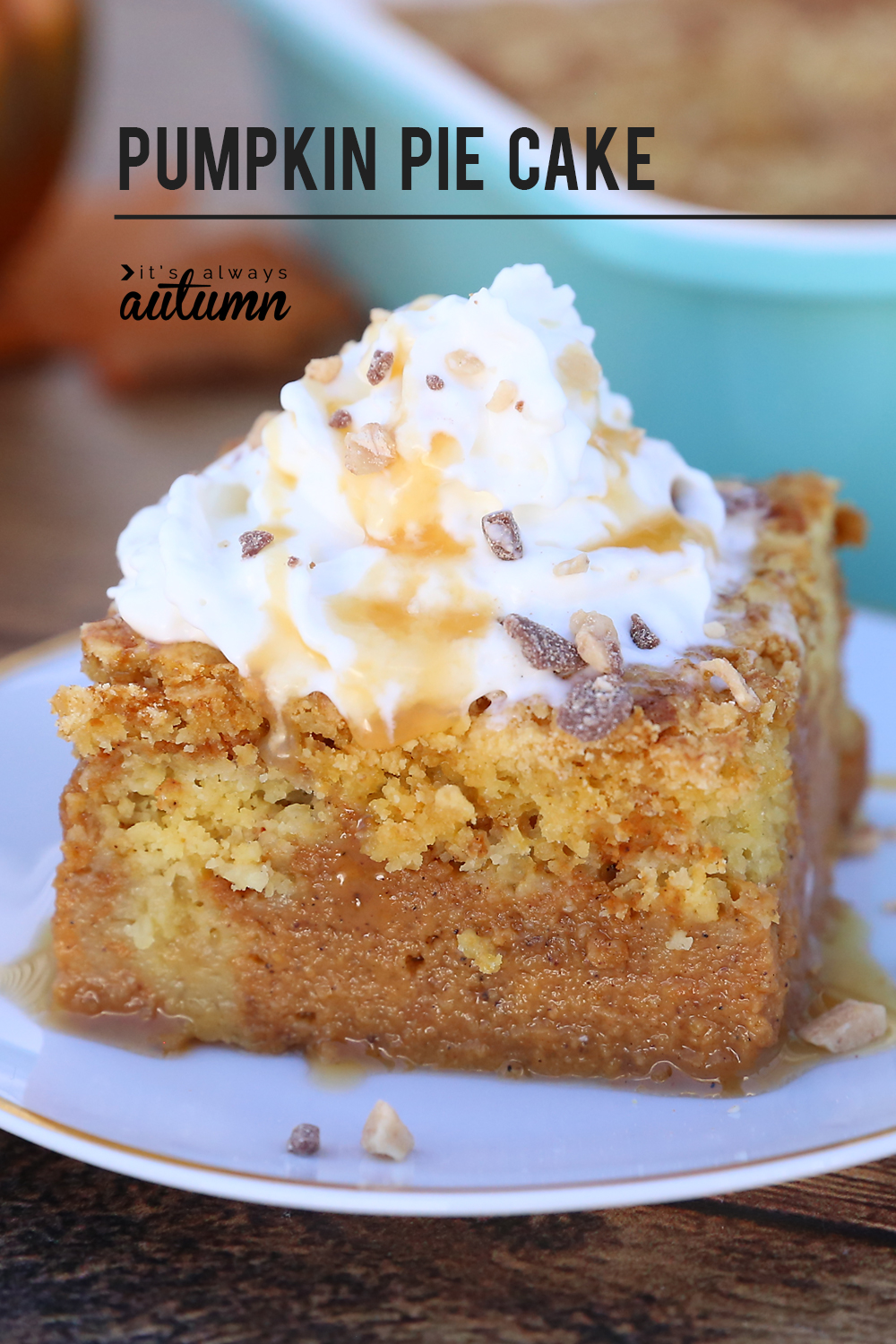 Easy pumpkin pie cake recipe {better than pumpkin pie!} - It's Always ...