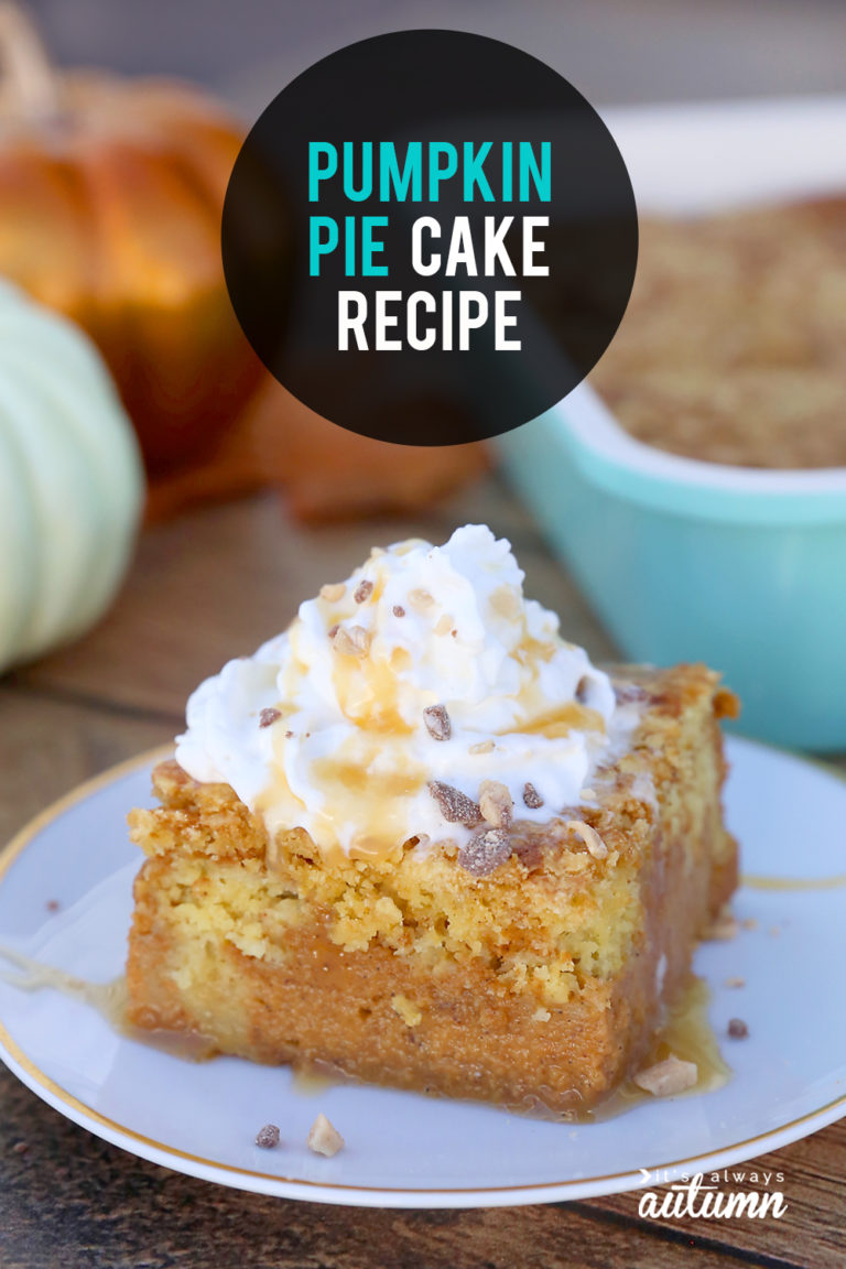 Easy Pumpkin Pie Cake {Better than Pumpkin Pie!} - It's Always Autumn