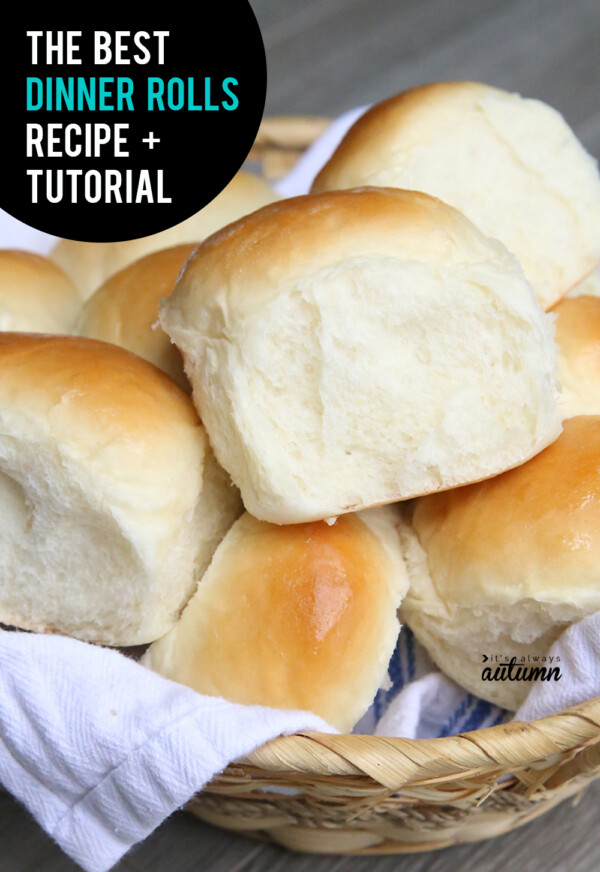 the very best dinner rolls recipe + video tutorial - It's Always Autumn