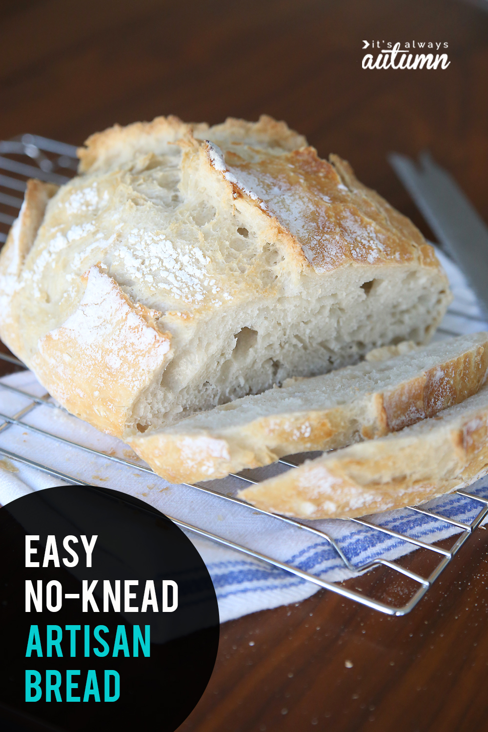 very fast easy artisan bread recipes