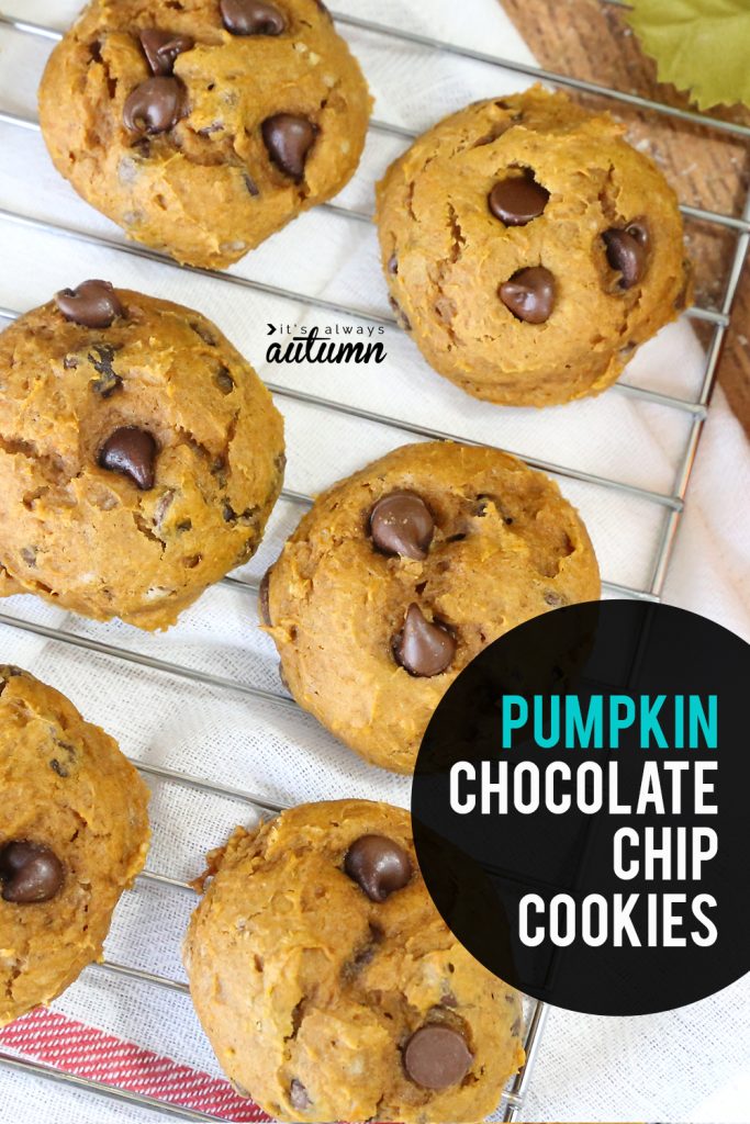 Easy 5 ingredient pumpkin chocolate chip cookies - It's Always Autumn