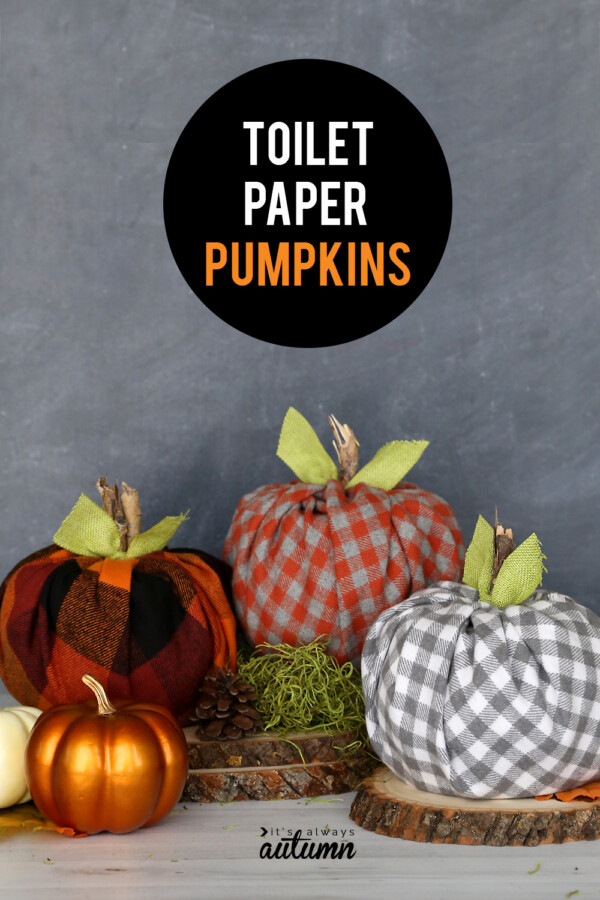 How to Make Adorable Toilet Paper Pumpkins - It's Always Autumn