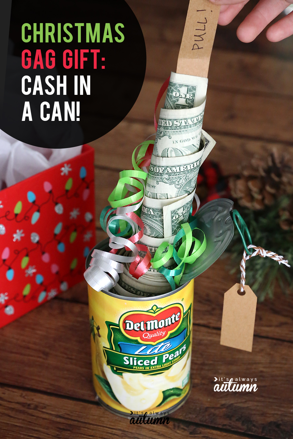 Funny Christmas money gift idea Cash in a can  It's Always Autumn
