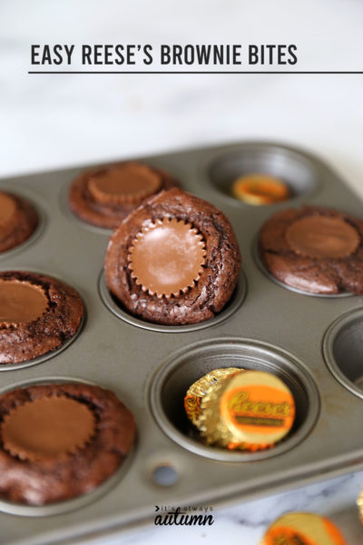 Peanut Butter Cup Brownie Bites: easy + delicious! - It's Always Autumn