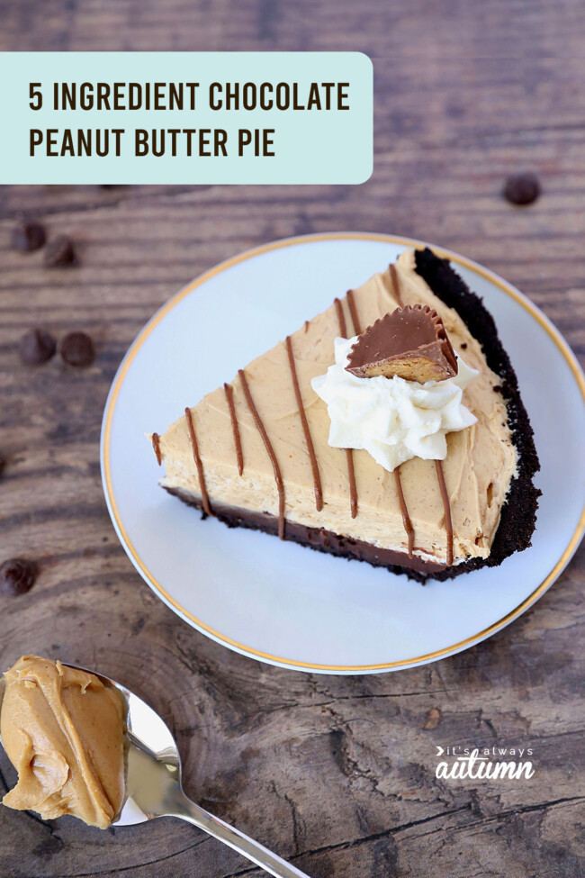 EASY 5 Ingredient Chocolate Peanut Butter Pie - It's Always Autumn