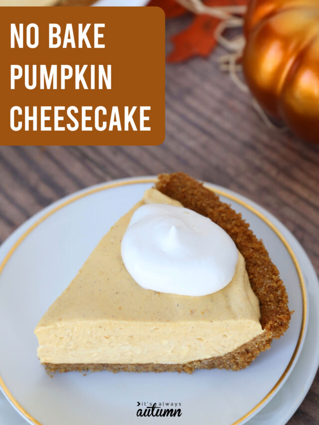 The BEST No Bake Pumpkin Cheesecake Story - It's Always Autumn