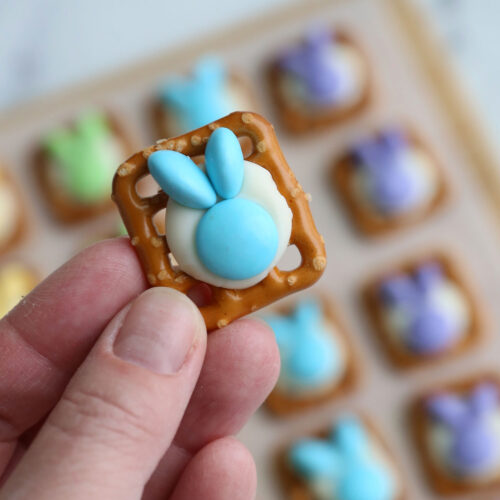 Easter Cookie Rabbit Family Display