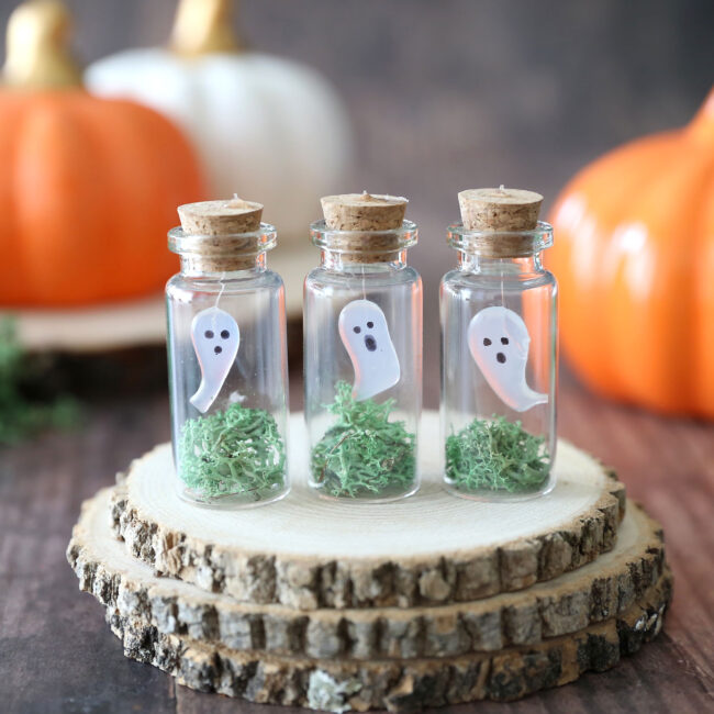 Pet Ghost Halloween Craft - It's Always Autumn