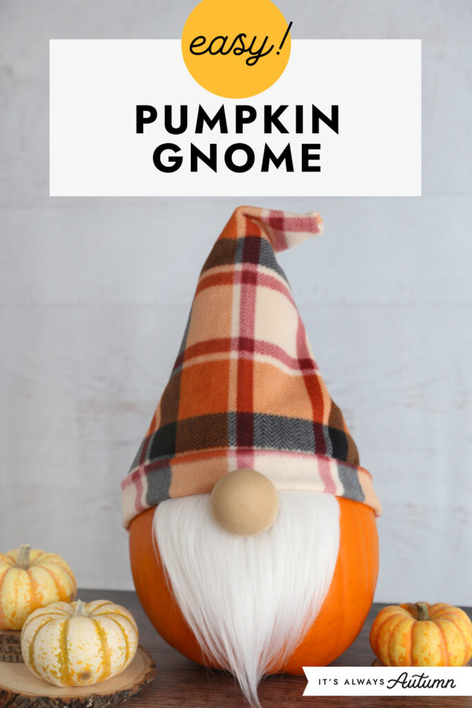 Gnome Pumpkin Decorating Idea - It's Always Autumn